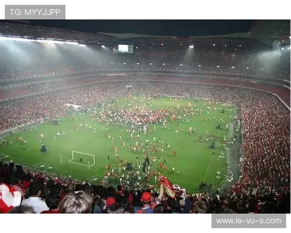 本菲卡俱乐部最新动态速览