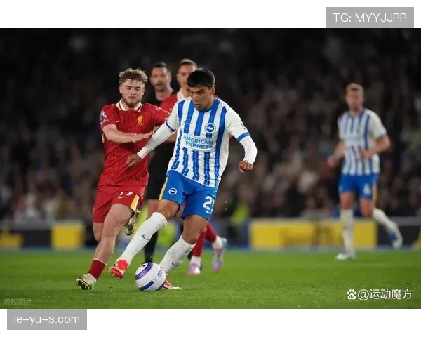 布莱顿青训再创佳绩，新一代足球天才闪耀赛场