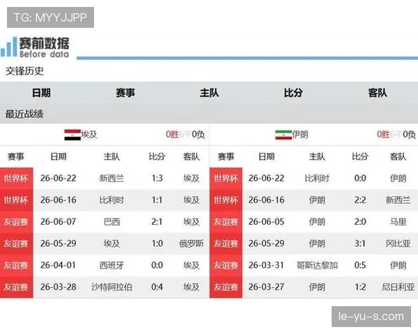 埃及晋级世界杯32强：G组第二名资格确认